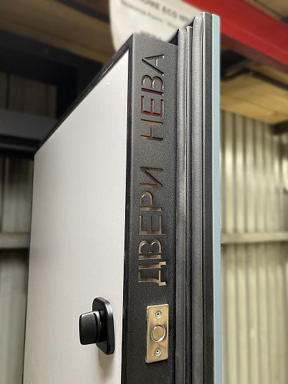 Входная дверь  