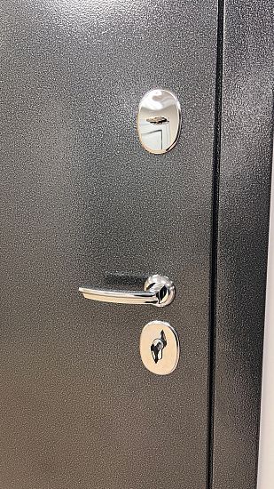 Входная дверь  